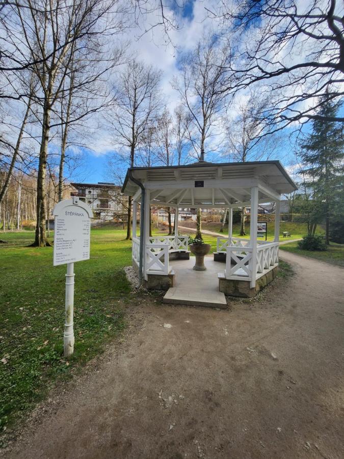 Slatina Apartment Frantiskovy Lazne Exterior photo